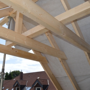 Referenzbild #16 für Dachsanierungen in Oldenburg/Wiefelstede